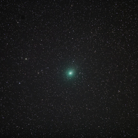 1月2日　ウィルタネン彗星