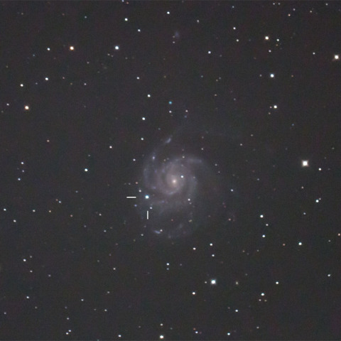M101の超新星