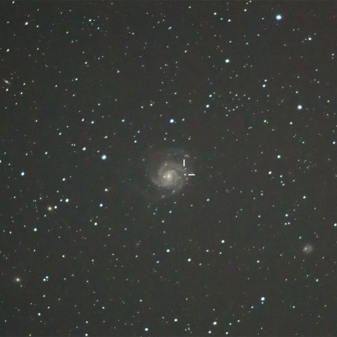 M101超新星 SN2011fe