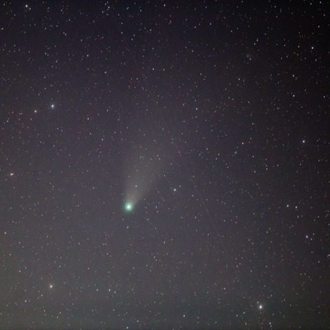 ネオワイズ彗星 8/11