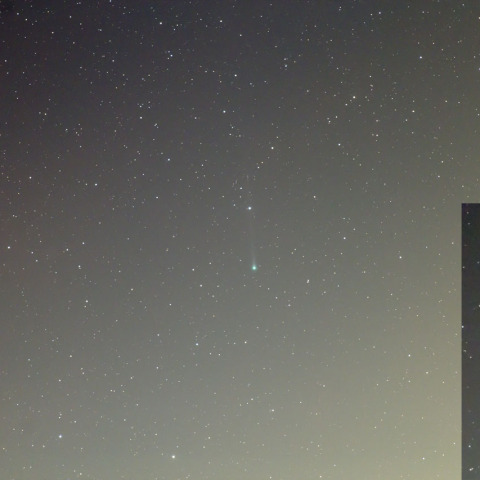 エラスムス彗星 (C/2020 S3)