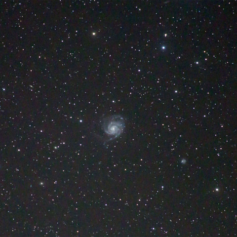M101銀河群