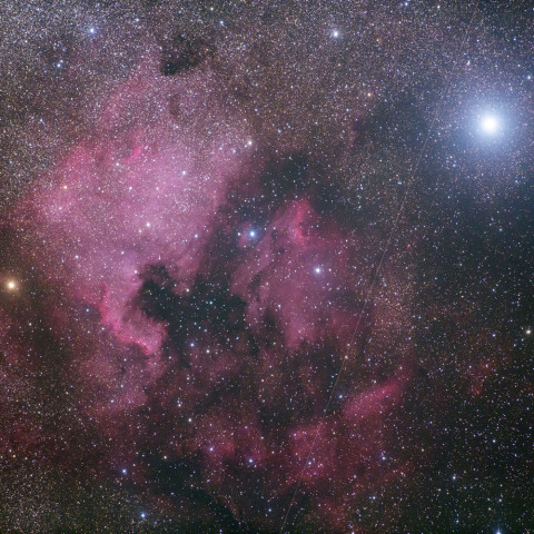 北アメリカ星雲付近