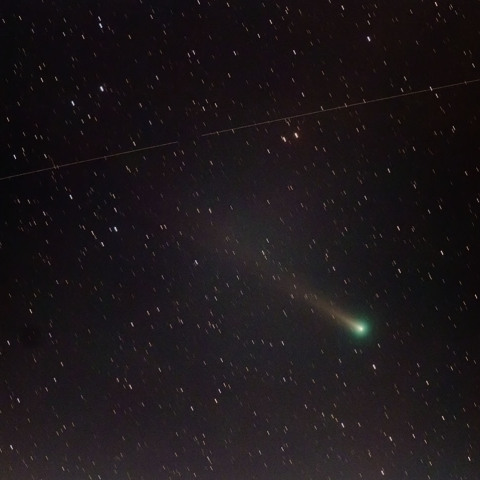 レナード彗星 12/11