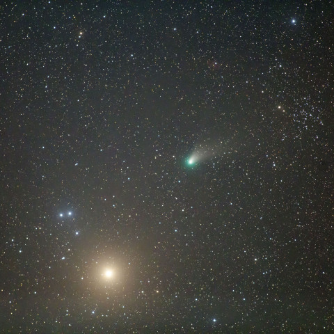 ZTF彗星  2月14日