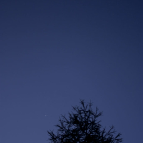 月と木星の接近