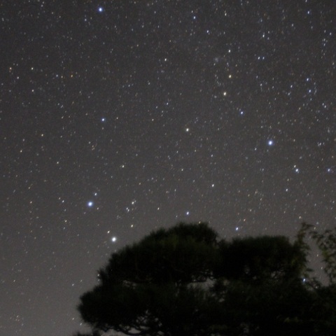 ふたご座とベテルギウス