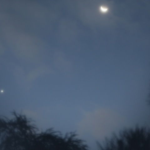 月と金星