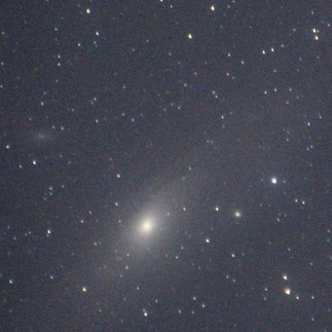M31