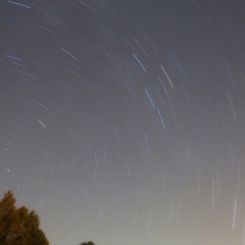 秋の星座・日周運動