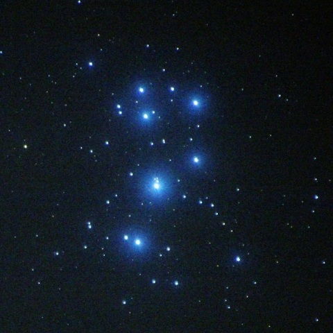 M45