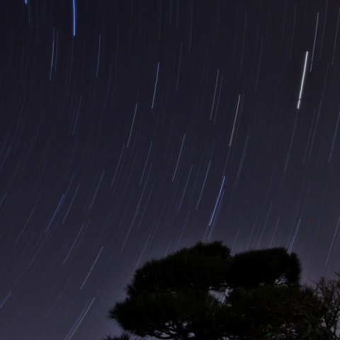 流れるうしかい