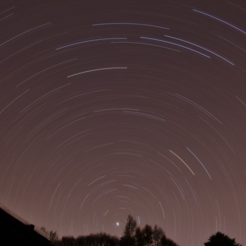 おおぐま座とこぐま座