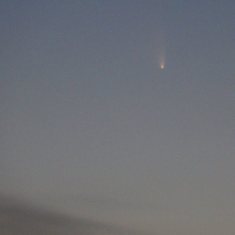 パンスターズ彗星