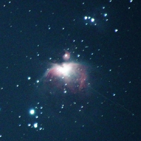 月明かりのM42