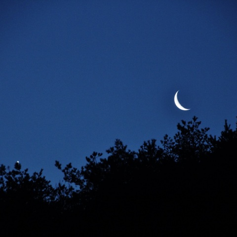 月と金星　2月26日