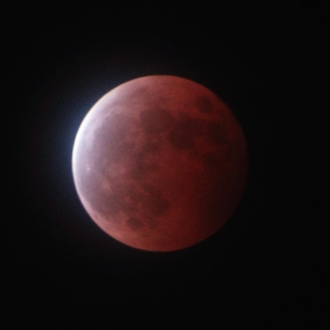 皆既月食・10月8日