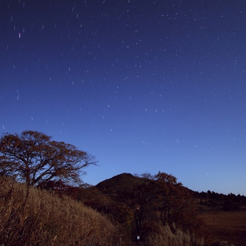 高原の星空