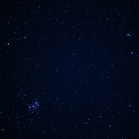 すばるとラブジョイ