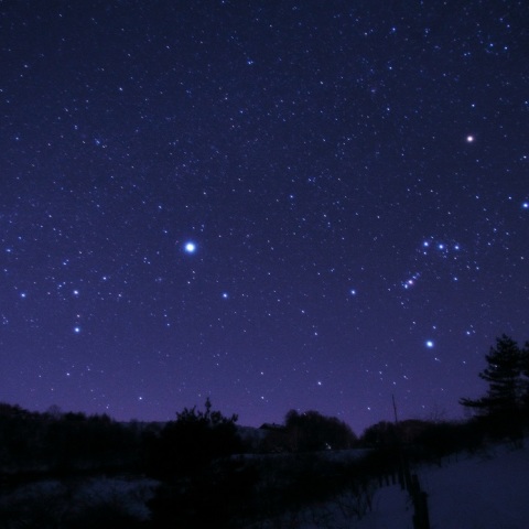 オリオンとおおいぬ