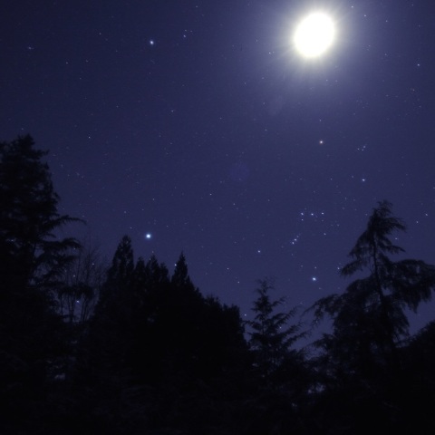 月明りと沈む冬の大三角