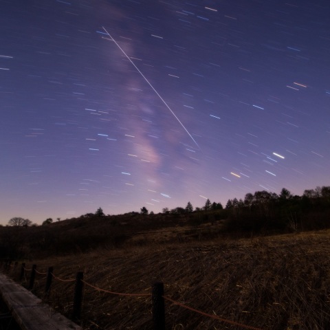 湿原の流れ星