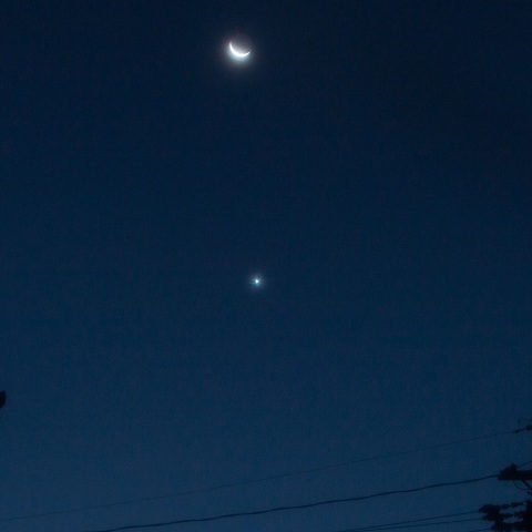 9月10日 月と金星