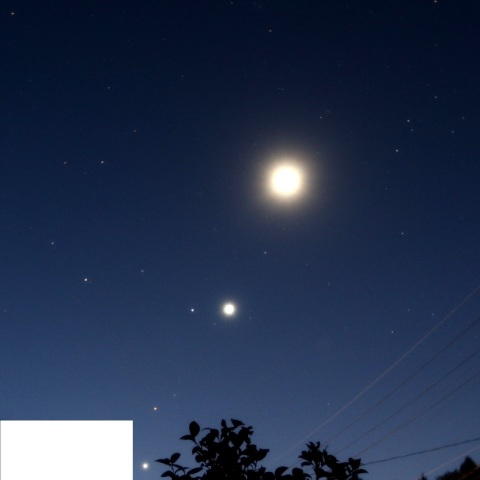 明けの惑星たち