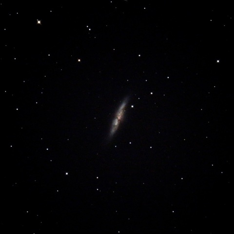 M82