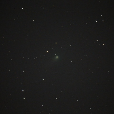 11月4日　パンスターズ彗星 C/2014S2