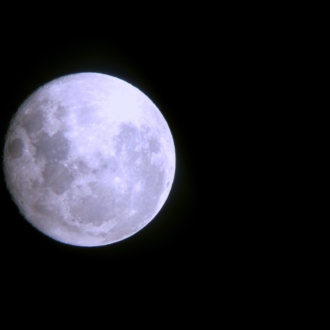 アルデバラン食　潜入前