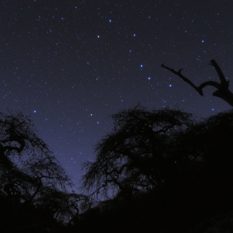 元日の北斗七星と北極星