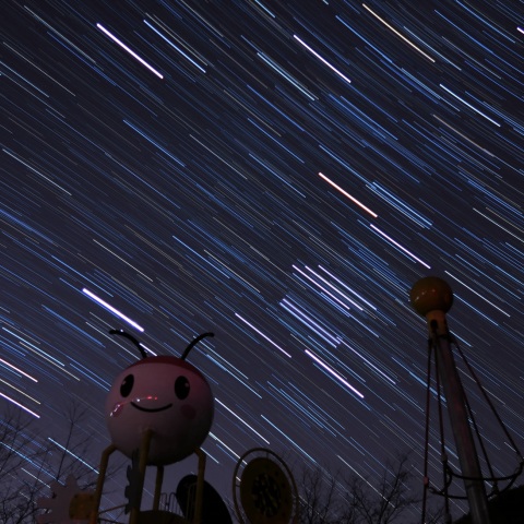 ホタルと冬の大三角