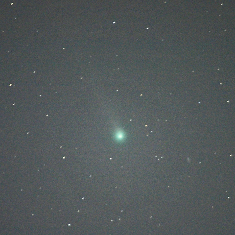 ラヴジョイ彗星