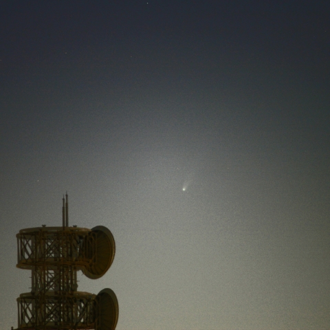 ２３日早朝のアイソン彗星