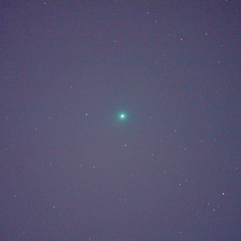 １月１０日のラブジョイ彗星