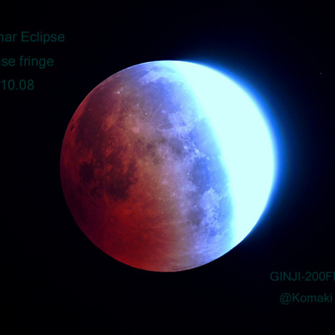 ターコイズ・フリンジ（Turquoise fringe）