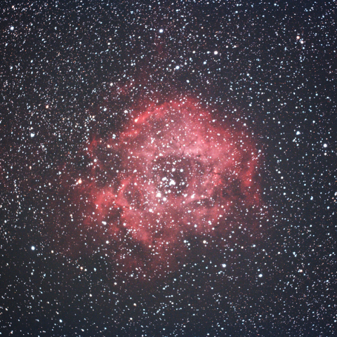NGC2238バラ星雲