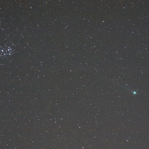 すばると並んだラブジョイ彗星