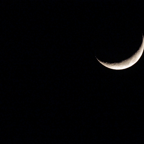 月と金星の大接近