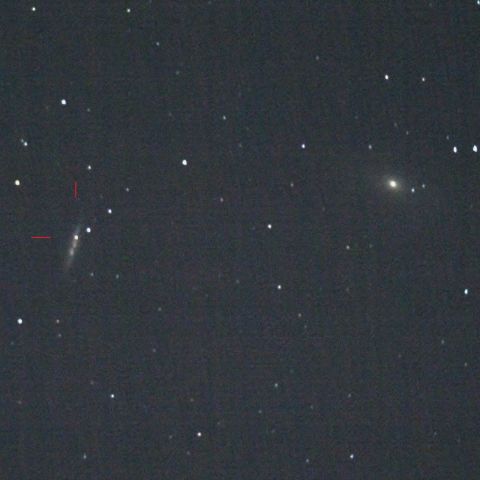 M82超新星これかな？