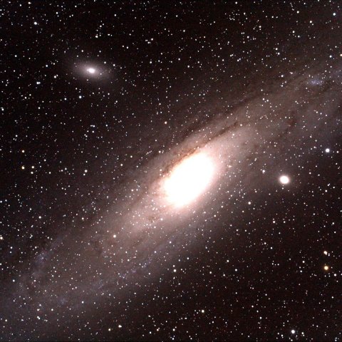 M31