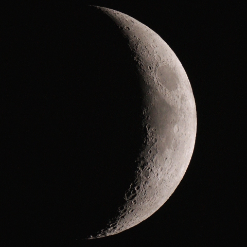 １２月２９日の月