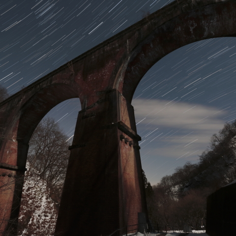 めがね橋と南天