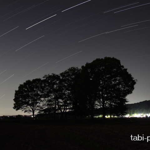 田んぼの真ん中にて