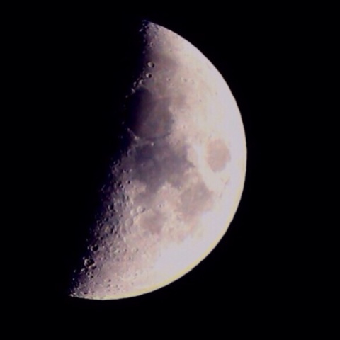 月齢7.04のお月さん