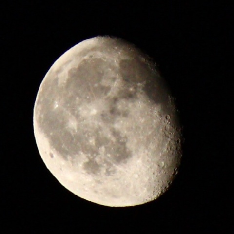 雨上がりの月齢19.4の月