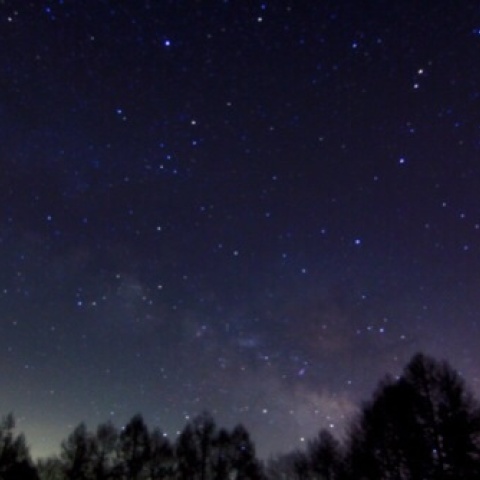 立ち上がるさそりと天の川