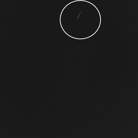 早朝の流星ーしし座流星群その１-1