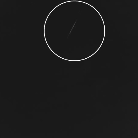 早朝の流星ーしし座流星群その2-1